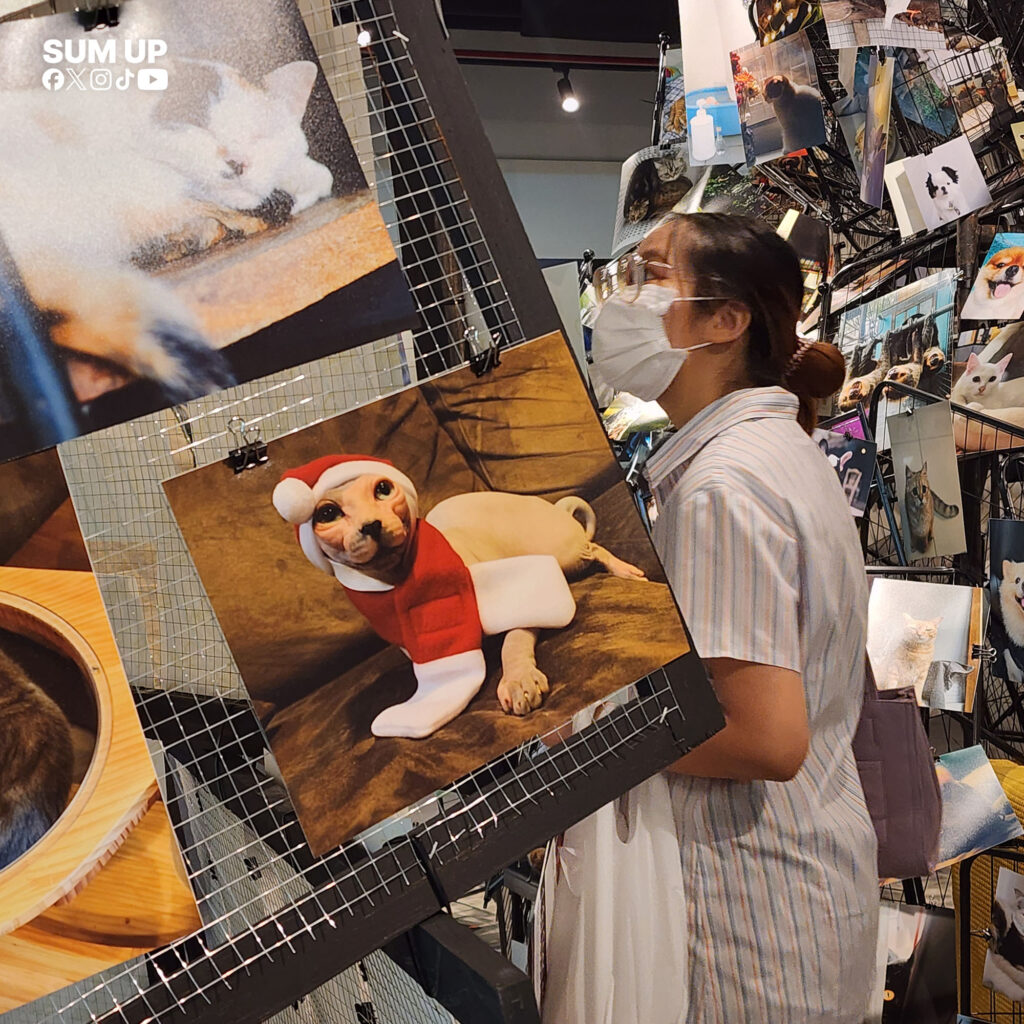 1 วัน 1,000 ภาพ Vol.4 Pawtrait