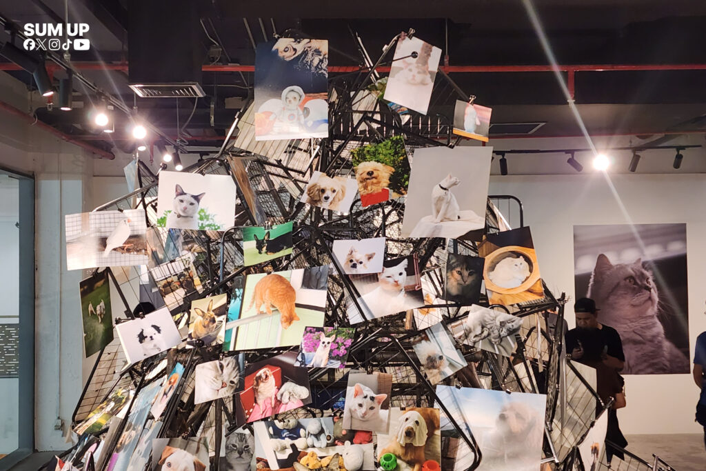 1 วัน 1,000 ภาพ Vol.4 Pawtrait